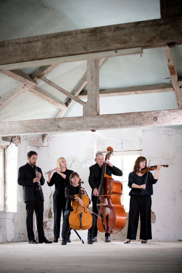 Sinfonia Viva players in white building. strings and woodwind